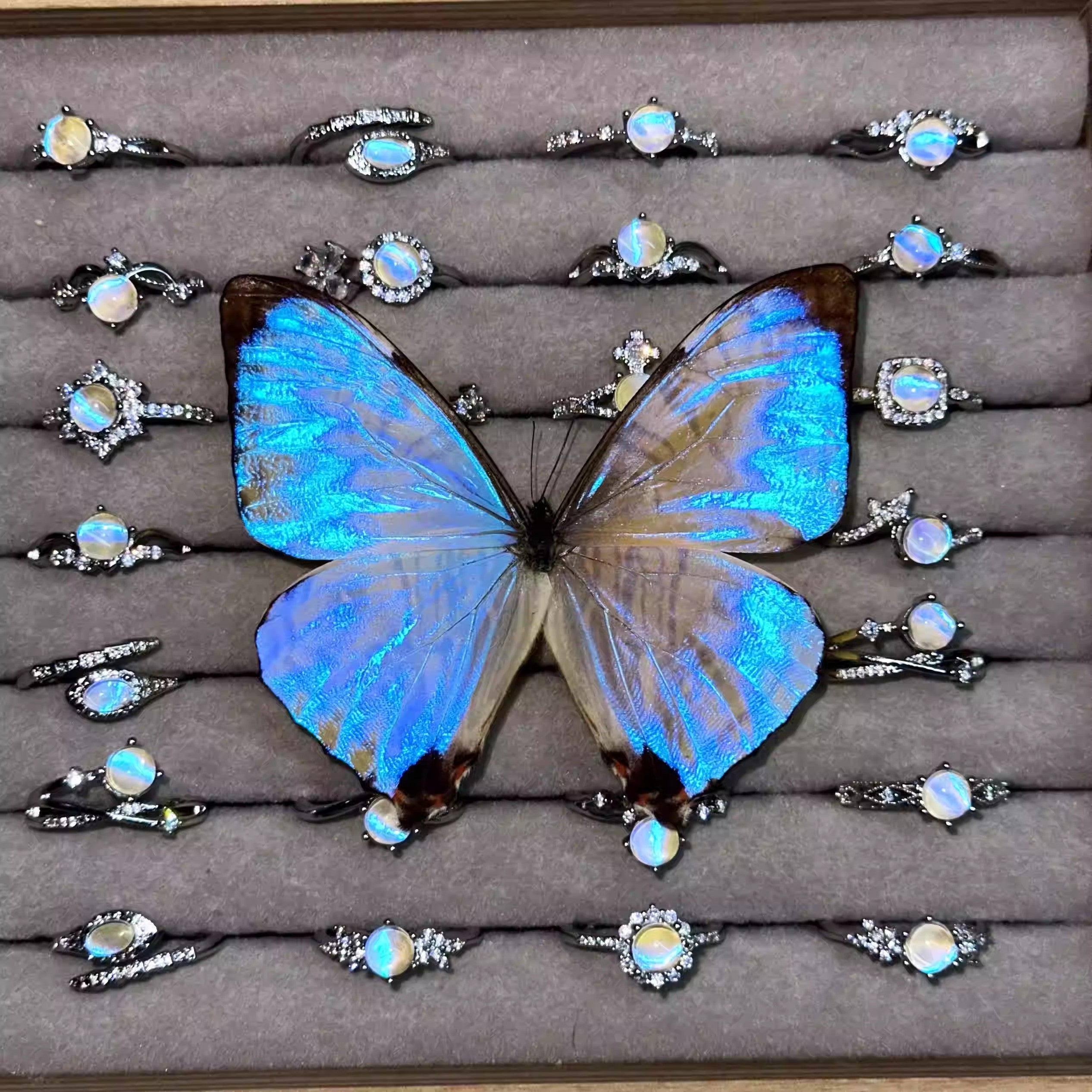 Handmade Blue Morpho Butterfly Jewelry