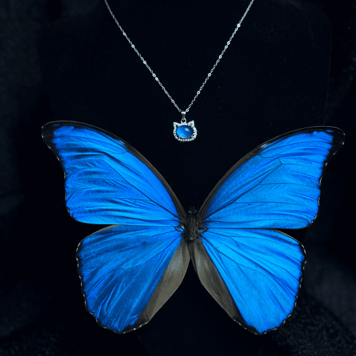 Real Blue Morpho Butterfly Wing Necklace in S925 Sterling Silver - Handmade Specimen Pendant, Unique Niche Gift for Her, Bestie Birthday Jewelry