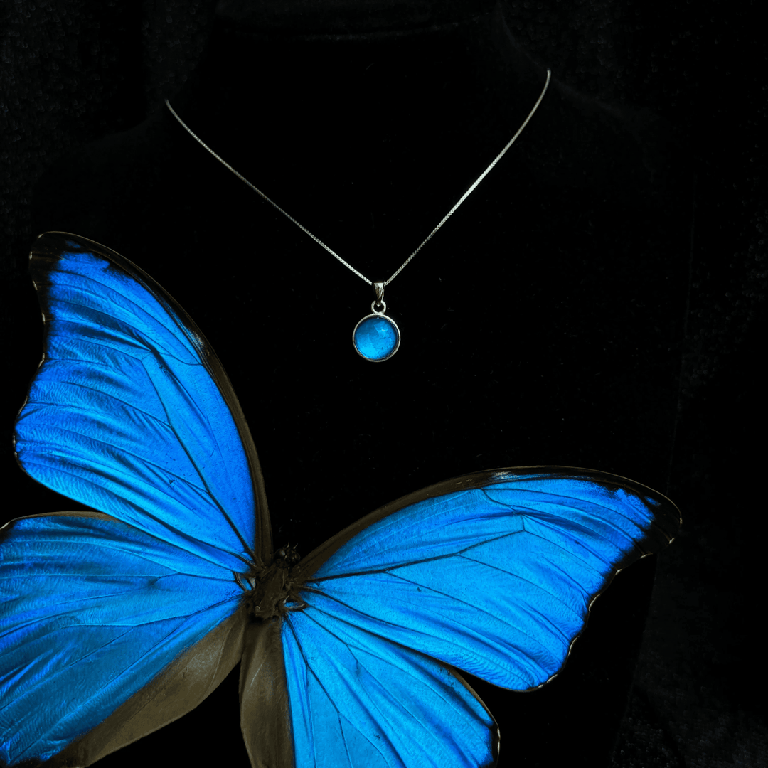 Real Blue Morpho Butterfly Wing Necklace in S925 Sterling Silver - Handmade Specimen Pendant, Unique Niche Gift for Her, Bestie Birthday Jewelry