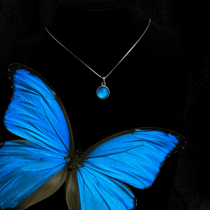 Real Blue Morpho Butterfly Wing Necklace in S925 Sterling Silver - Handmade Specimen Pendant, Unique Niche Gift for Her, Bestie Birthday Jewelry