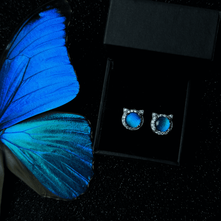 Aurora Blaue Schmetterling Haarklammer/ Schlussverkauf