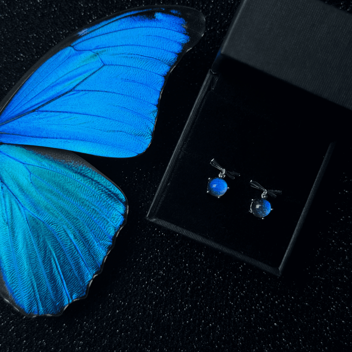 Aurora Blaue Schmetterling Haarklammer/ Schlussverkauf