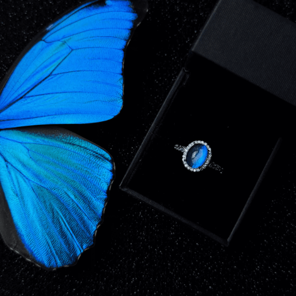 Real Blue Morpho Butterfly Wing Ring in S925 Sterling Silver - Adjustable Original Design,  Handmade Niche Jewelry for Besties & Couples