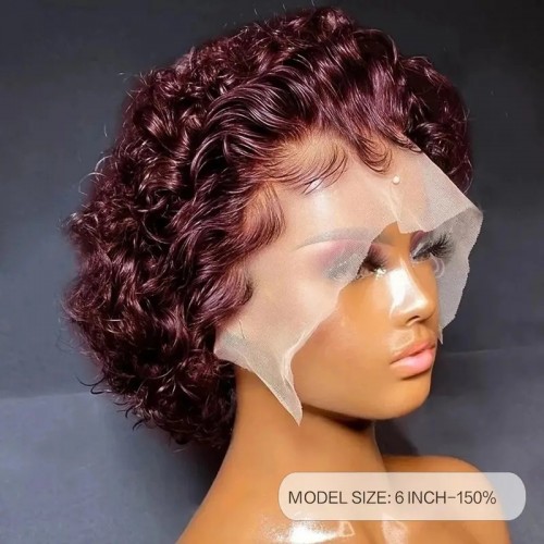 Short Pixie Cut Wig Short Curly Human Hair Wigs 13*1 Transparent Lace Front Brazilian Virgin Pixie Wigs For Women Girls